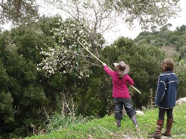 Ferienhaus in Salakos (Dodekanisos) oder Ferienwohnung oder Ferienhaus