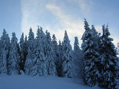 Auf dem Weg nach Torfhaus