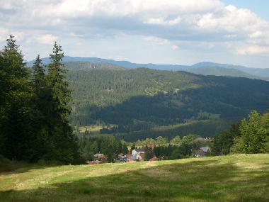Ferienhaus in Mitterfirmiansreut (Mitterdorf) (Budejovicky Kraj) oder Ferienwohnung oder Ferienhaus