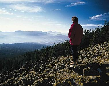 Ferienhaus in Mitterfirmiansreut (Mitterdorf) (Budejovicky Kraj) oder Ferienwohnung oder Ferienhaus