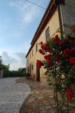 Locanda Nemorosa - Front