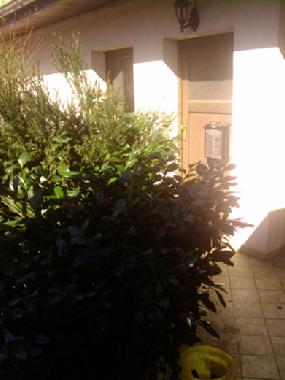 Zugang Apartments