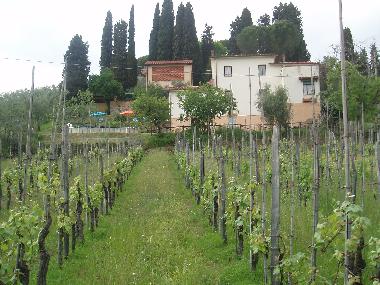 Ferienhaus in Lucca (Lucca) oder Ferienwohnung oder Ferienhaus