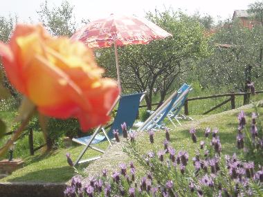 Ferienhaus in Lucca (Lucca) oder Ferienwohnung oder Ferienhaus