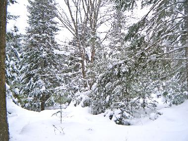 Chalet in Magog (Quebec) oder Ferienwohnung oder Ferienhaus