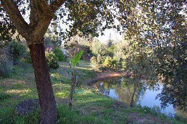 Ferienhaus in S�o Teotonio (Alentejo Litoral) oder Ferienwohnung oder Ferienhaus