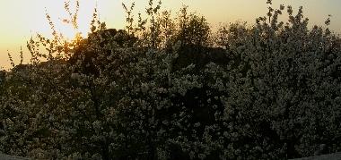 Ferienwohnung in Porec (Istarska) oder Ferienwohnung oder Ferienhaus