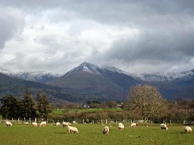 Ferienhaus in Conwy (Nord Wales) oder Ferienwohnung oder Ferienhaus
