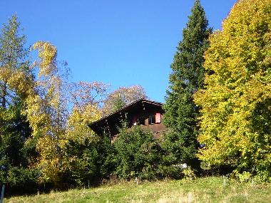 Chalet in Beatenberg (Beatenberg) oder Ferienwohnung oder Ferienhaus