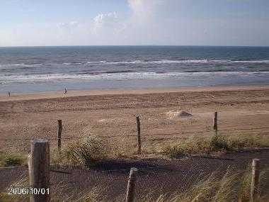 der Strand in der Nhe