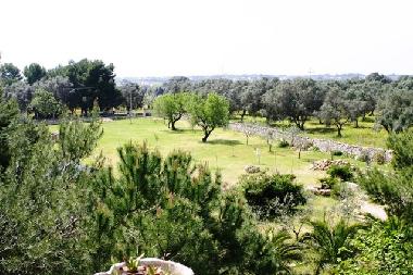 Ferienwohnung in maruggio (Taranto) oder Ferienwohnung oder Ferienhaus