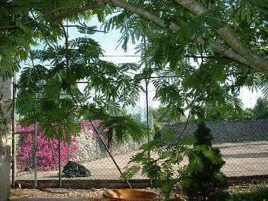 Ferienwohnung in maruggio (Taranto) oder Ferienwohnung oder Ferienhaus