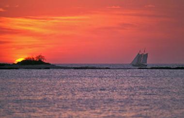 Ferienhaus in Playa Langosta (Guanacaste) oder Ferienwohnung oder Ferienhaus