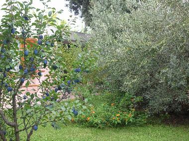 Ferienhaus in VILLASIMIUS (Cagliari) oder Ferienwohnung oder Ferienhaus