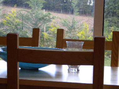 Pension in sao martinho de anta (Norte) oder Ferienwohnung oder Ferienhaus