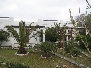 Villa in Skyros island (Evvoia) oder Ferienwohnung oder Ferienhaus