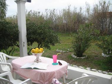 Villa in Skyros island (Evvoia) oder Ferienwohnung oder Ferienhaus