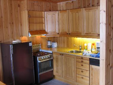 Ferienwohnung in Dalen (Telemark) oder Ferienwohnung oder Ferienhaus