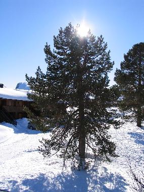Ferienwohnung in Dalen (Telemark) oder Ferienwohnung oder Ferienhaus