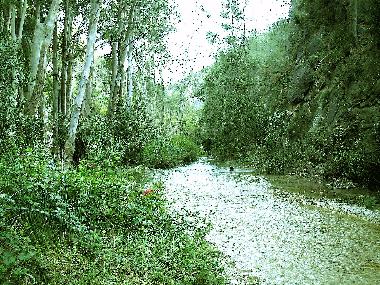 Ferienhaus in Nerja (Mlaga) oder Ferienwohnung oder Ferienhaus