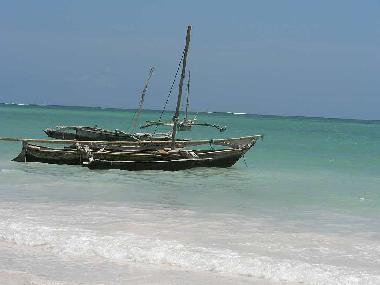 boats