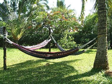 relax