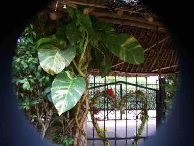 carport