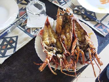lobster