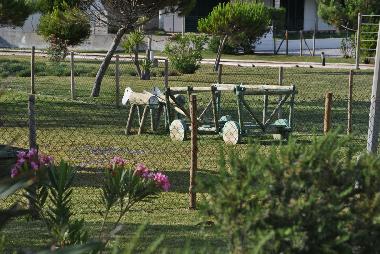 Ferienwohnung in Troia (Alentejo Litoral) oder Ferienwohnung oder Ferienhaus