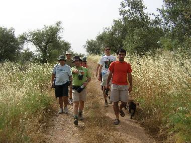 Ferienwohnung in Troia (Alentejo Litoral) oder Ferienwohnung oder Ferienhaus