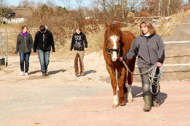 Curly Horse Hiawatha mit Chefin