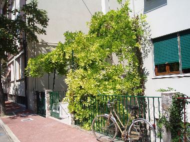 Ferienhaus in Pesaro (Pesaro e Urbino) oder Ferienwohnung oder Ferienhaus