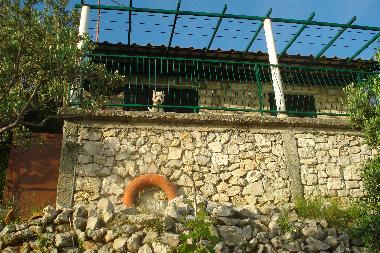 Ferienhaus in SLANO (Dubrovacko-Neretvanska) oder Ferienwohnung oder Ferienhaus