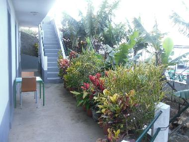 Ferienwohnung in Madalena do Mar (Madeira) oder Ferienwohnung oder Ferienhaus