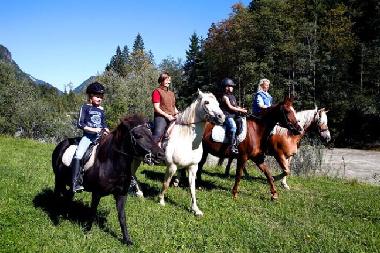 Reitm�glichkeiten in unmittelbarer N�he