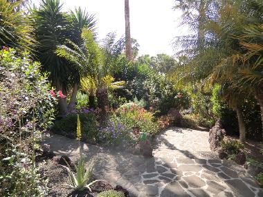 Ferienhaus in La Matanza  (Teneriffa) oder Ferienwohnung oder Ferienhaus