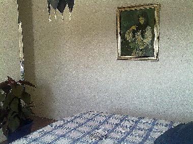 Ferienhaus in Velez Malaga (Mlaga) oder Ferienwohnung oder Ferienhaus