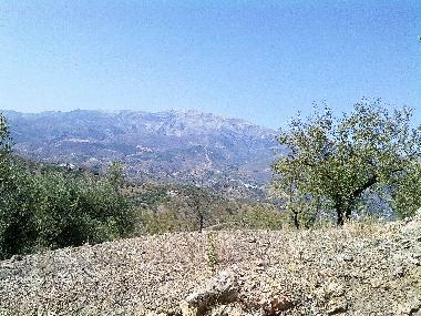 Ferienhaus in Velez Malaga (Mlaga) oder Ferienwohnung oder Ferienhaus