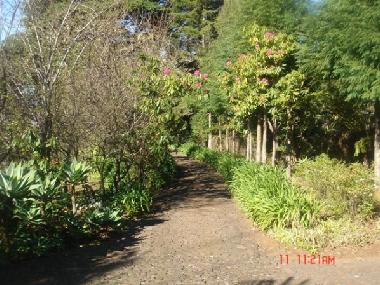 Ferienhaus in Funchal (Madeira) oder Ferienwohnung oder Ferienhaus