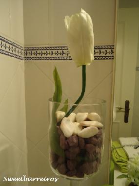 Ferienwohnung in funchal (Madeira) oder Ferienwohnung oder Ferienhaus