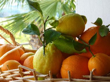 Villa in Alora (Mlaga) oder Ferienwohnung oder Ferienhaus