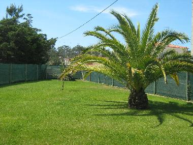 Ferienhaus in Salir do Porto (Oeste) oder Ferienwohnung oder Ferienhaus