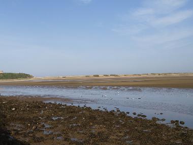 Ferienwohnung in V.N.Gaia (Norte) oder Ferienwohnung oder Ferienhaus