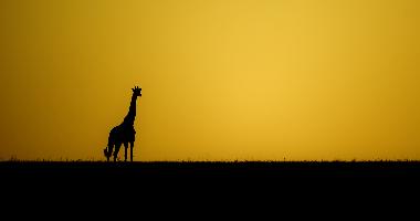 Traumhafte Sonnenunterg�nge
