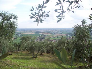 Ferienhaus in Rigoli (Pisa) oder Ferienwohnung oder Ferienhaus