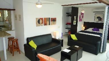 Ferienwohnung in Rio de Janeiro (Rio de Janeiro) oder Ferienwohnung oder Ferienhaus