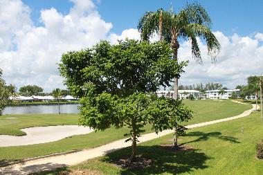 Seeblick und Golfplatz