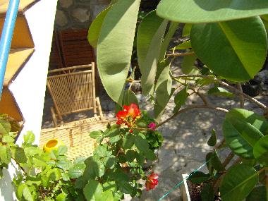 Ferienwohnung in montpellier (H�rault) oder Ferienwohnung oder Ferienhaus