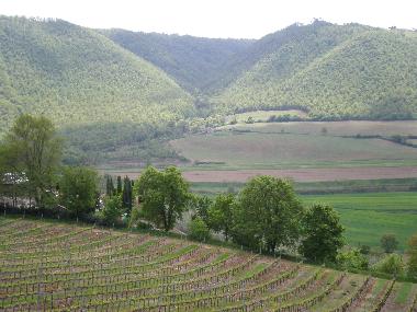 Ferienhaus in Piegaro (Firenze) oder Ferienwohnung oder Ferienhaus