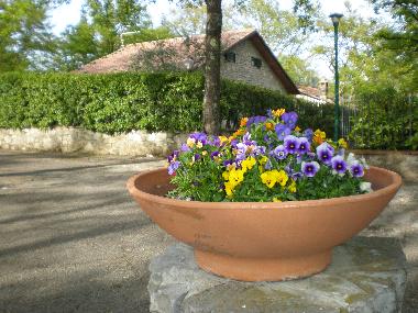 Ferienhaus in Piegaro (Firenze) oder Ferienwohnung oder Ferienhaus